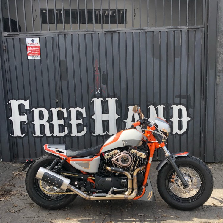 SNAKE IRON Café Racer Harley Davidson Forty Eight 
